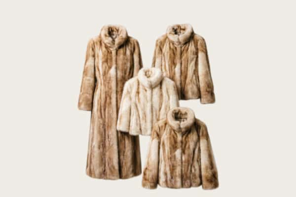 绥中县回收皮草衣服